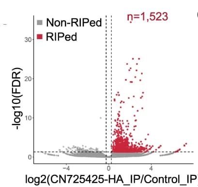 Open access visualization of Volcano Plot, Scatter Plot, Differentially Enriched Sites, RIP-Seq, HA Knock-In