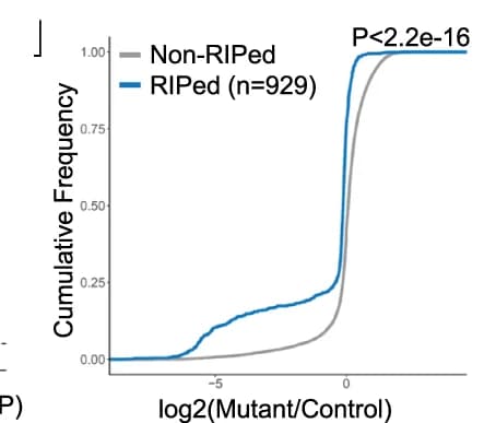 Open access visualization of Line Plot, Differential Expression, Mutant Spermatocytes, Wild-Type Spermatocytes, mRNAs