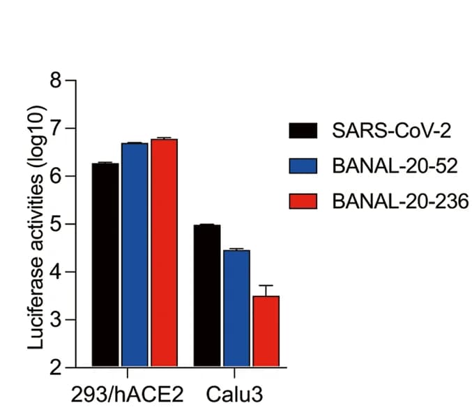 Open access visualization of Bar Plot, Error Bars, Clustered, SARS-CoV-2 S, BANAL-20-52 S