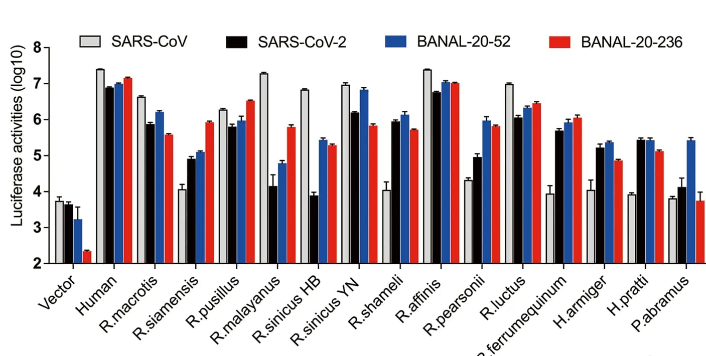Open access visualization of Bar Plot, Error Bars, Clustered, Transduction, HEK293 Cells