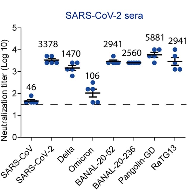 Open access visualization of Scatter Plot, Error Bars, SARS-CoV-2, S Ectodomain, S Pseudovirions