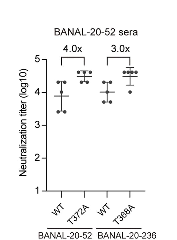 Open access visualization of Scatter Plot, Error Bars, BANAL-20-52, S Ectodomain, S Pseudovirions