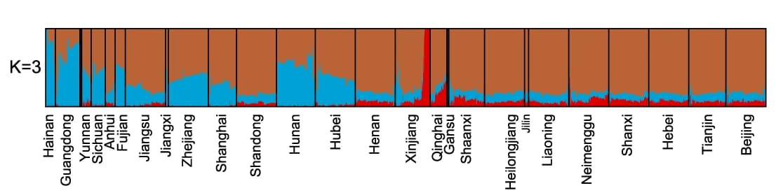 Open access visualization of Stacked Bar Plot, Ancestry Components, STROMICS, Provincial Divisions, ADMIXTURE
