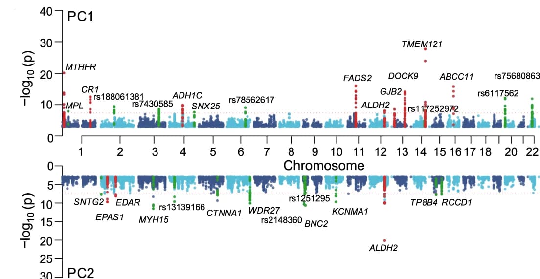 Open access visualization of Manhattan Plot, Genomic Signatures, Selection, PC1, PC2