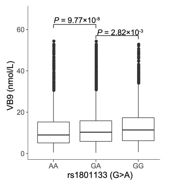 Open access visualization of Box Plot, Linear Regression, Homocysteine, VB9 (Folate), Genotypes