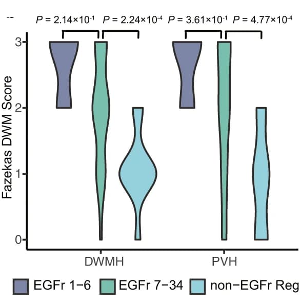 Open access visualization of Violin Plot, DWMH, PVH, Cys-altering SNVs, EGFr Regions