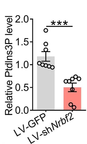 Open access visualization of Bar Plot, Error Bars, ATG14L, VPS34, Kinase activity