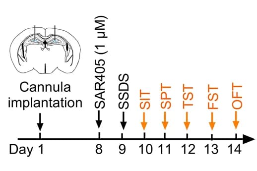 Open access visualization of Workflow, Illustration, Timeline