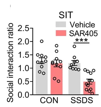 Open access visualization of Bar Plot, Error Bars, Behavioral Tests, SIT, Control Mice