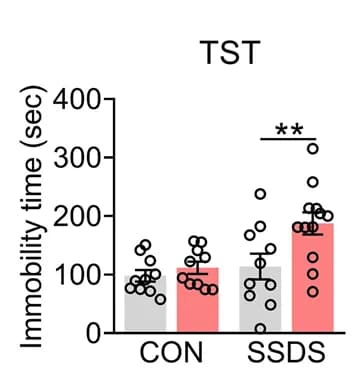 Open access visualization of Bar Plot, Error Bars, Scatter Plot, Behavioral Tests, TST