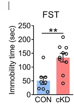 Open access visualization of Bar Plot, Scatter Plot, Error Bars, Behavioral Tests, FST