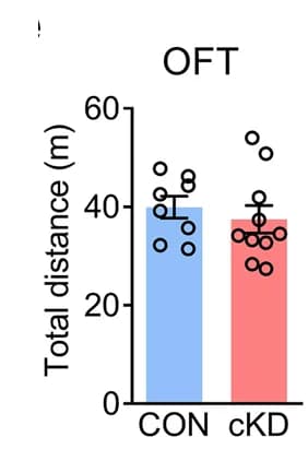 Open access visualization of Bar Plot, Error Bars, Scatter Plot, Behavioral Tests, OFT
