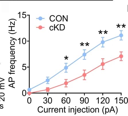 Open access visualization of Line Plot, Error Bars, Action Potential Frequency, Current Injection, Electrophysiology