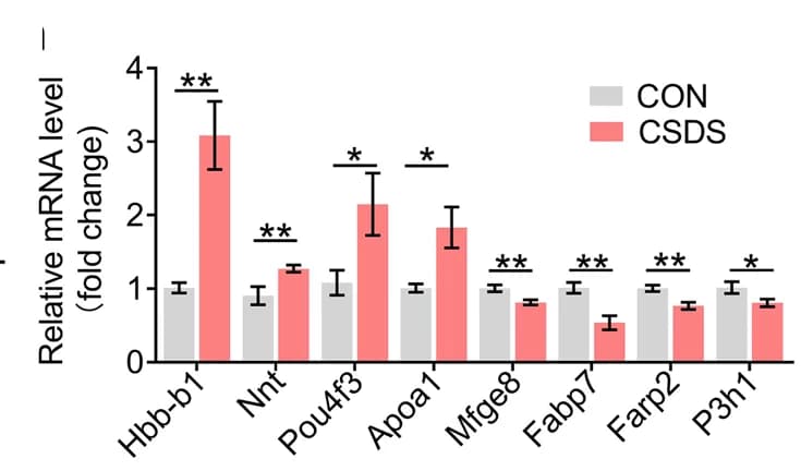 Open access visualization of Bar Plot, Error Bars, Clustered, Hbb-b1 mRNA, Nnt mRNA