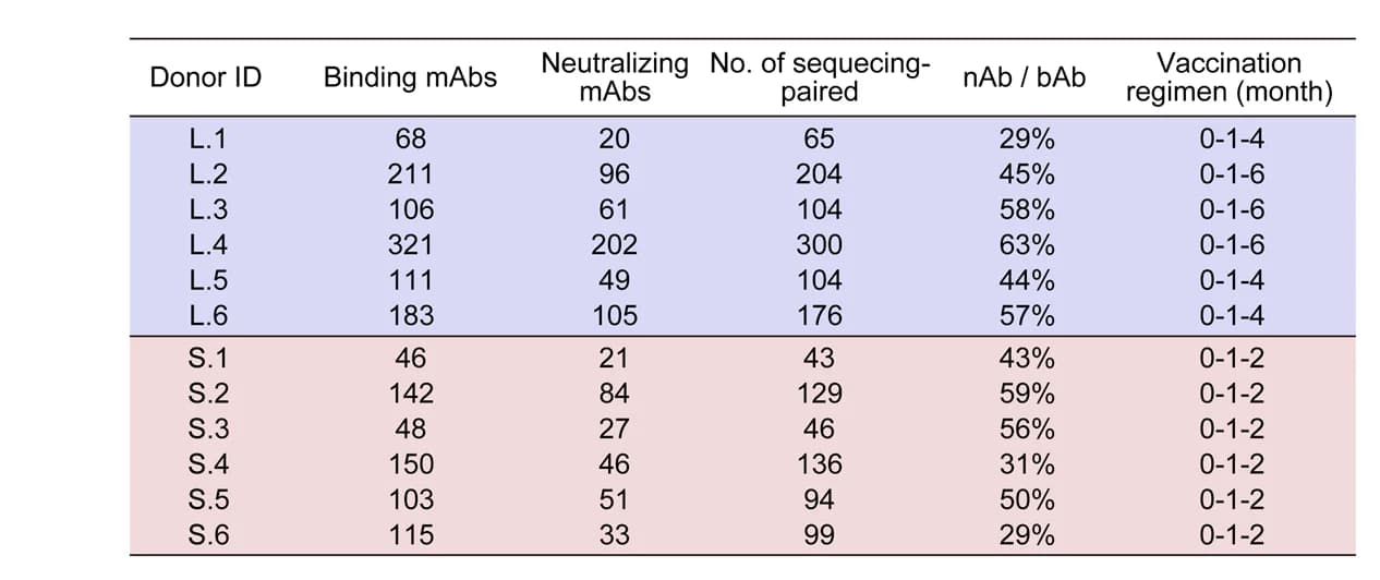 Open access visualization of Table Image, Antigen-Binding Monoclonal Antibodies, B-Cell Clones, ZF2001 Vaccine, Monoclonal Antibody