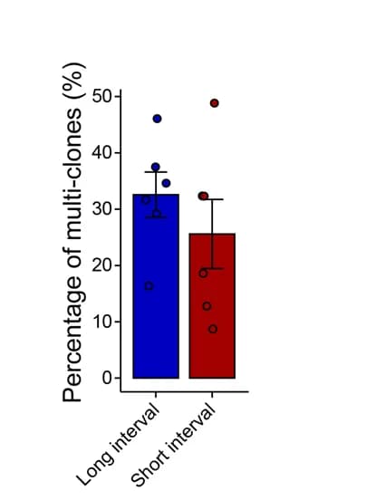 Open access visualization of Bar Plot, Error Bars, Scatter Plot, Expanded Clones, Donors