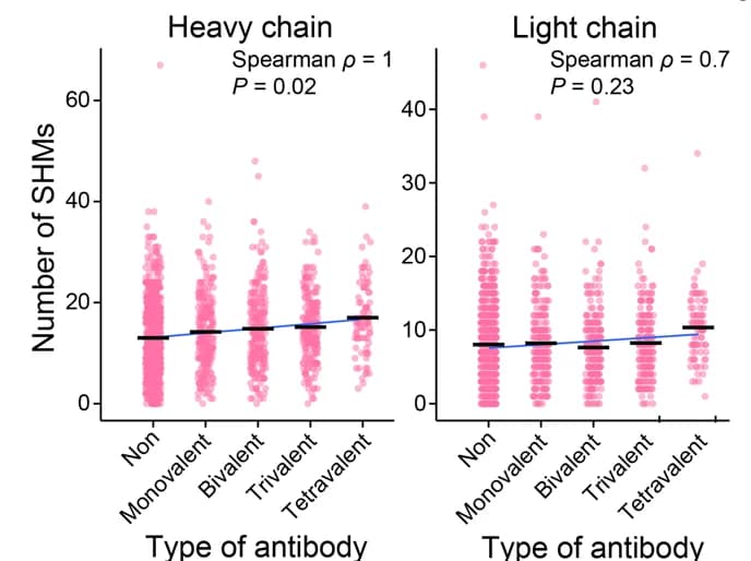 Open access visualization of Scatter Plot, Regression Plot, SHM Numbers, B Cell-derived, RBD-binding mAbs