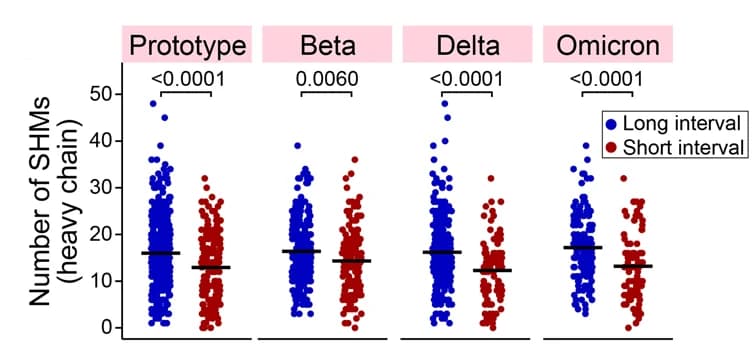 Open access visualization of Scatter Plot, Error Bars, SHM Numbers, B Cell-derived, Neutralizing mAbs