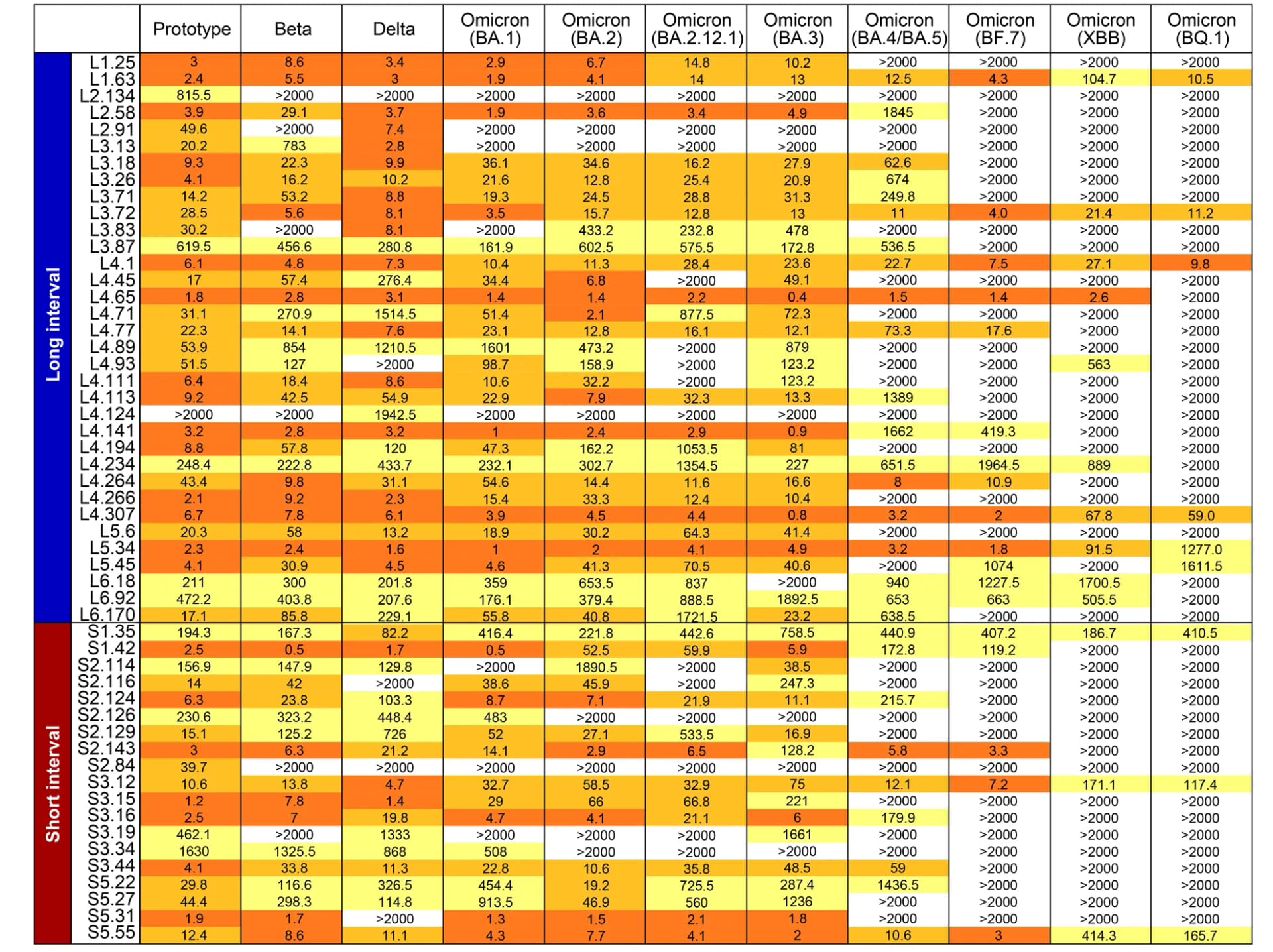 Open access visualization of Table Image, bnAbs, Monoclonal Antibody, SARS-CoV-2, variants