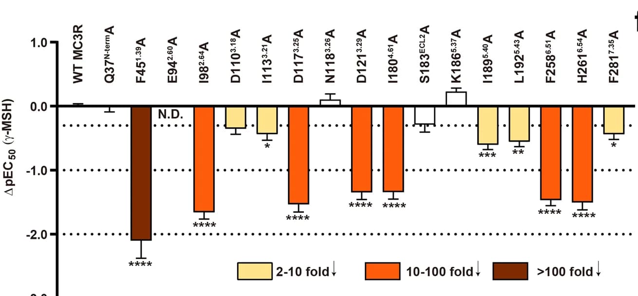 Open access visualization of Bar Plot, Error Bars, MC3R mutations, Gamma-MSH, cAMP accumulation