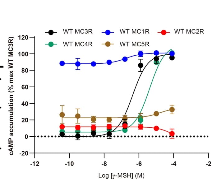 Open access visualization of Line Plot, Error Bars, Subtype selectivity, Gamma-MSH, MCRs
