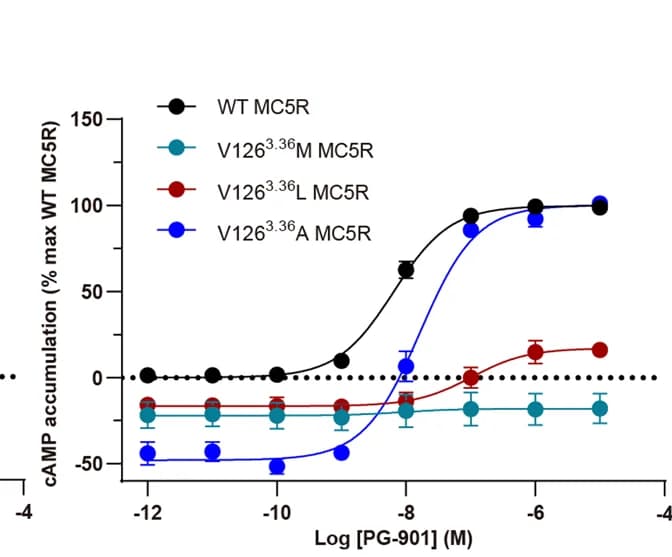 Open access visualization of Line Plot, Error Bars, MC5R mutations, PG-901, cAMP accumulation