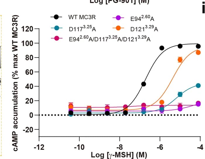 Open access visualization of Line Plot, Error Bars, MC3R mutations, γ-MSH, cAMP accumulation