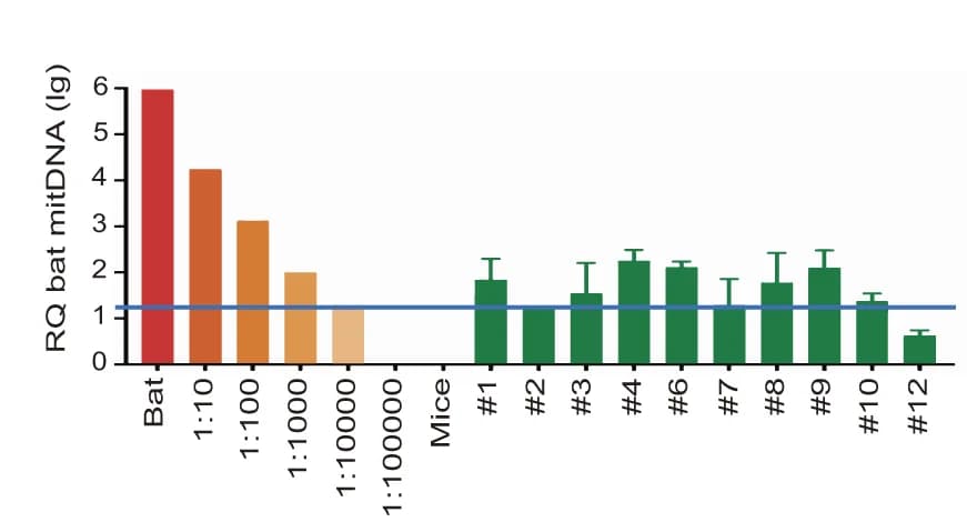 Open access visualization of Bar Plot, Error Bars, Genomic PCR, Bat mtDNA, Chimeric Mouse Embryos