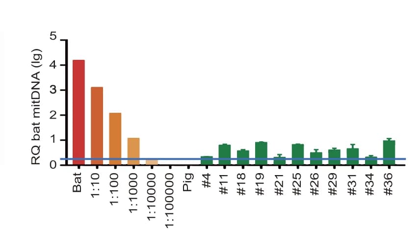 Open access visualization of Bar Plot, Error Bars, Genomic PCR, Bat mtDNA, Chimeric Porcine Embryos