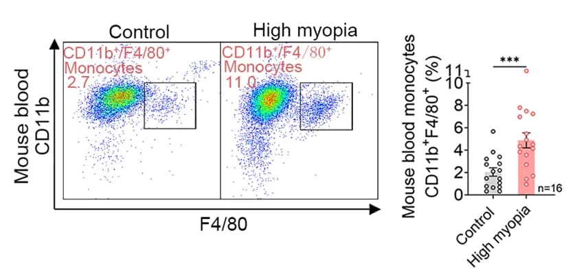 Open access visualization of Scatter Plot, Error Bars, Bar Plot, Flow Cytometry, CD11b+/F4/80+ Monocytes