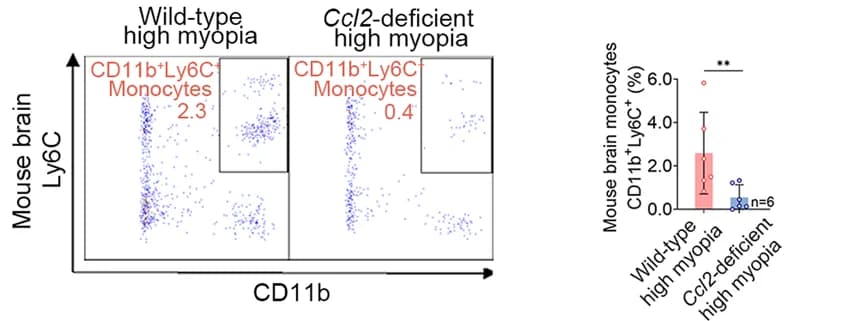 Open access visualization of Scatter Plot, Bar Plot, Error Bars, Flow-cytometric quantification, Monocytes