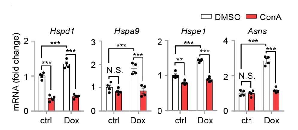 Open access visualization of Bar Plot, Error Bars, qRT-PCR, MEFs, Concanamycin A