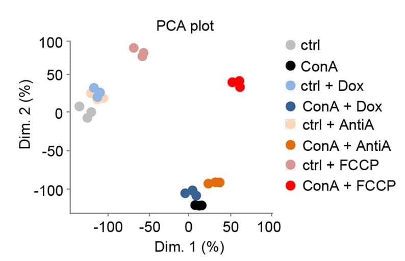 Open access visualization of PCA, Scatter Plot, Principal Component Analysis, RNA-seq, MEFs