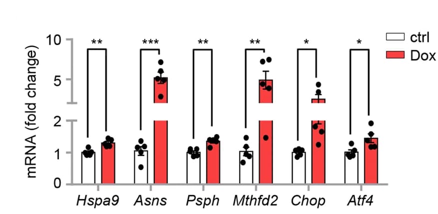 Open access visualization of Bar Plot, Error Bars, Scatter Plot, qRT-PCR, Kidney Samples