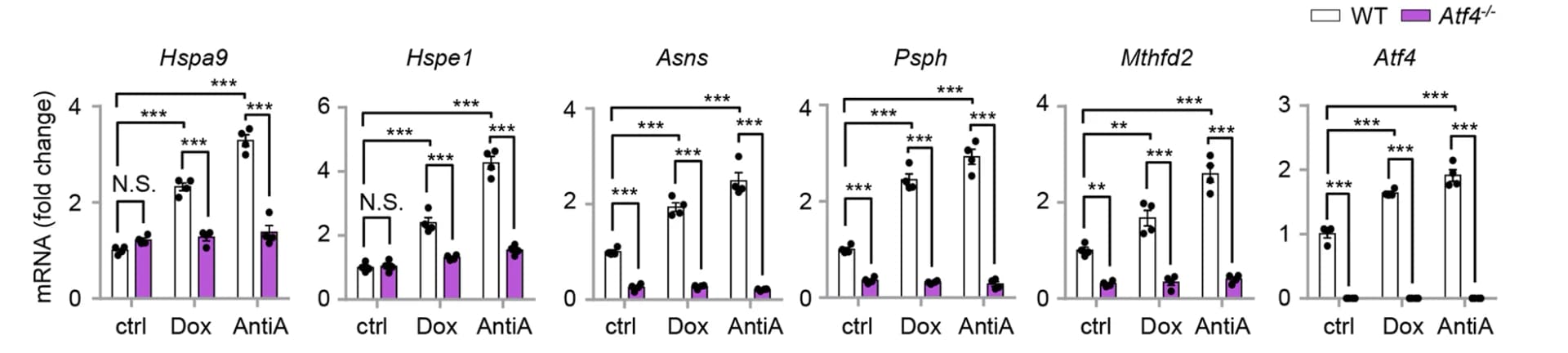 Open access visualization of Bar Plot, Error Bars, qRT-PCR, Wild-type MEFs, Atf4 -/- MEFs