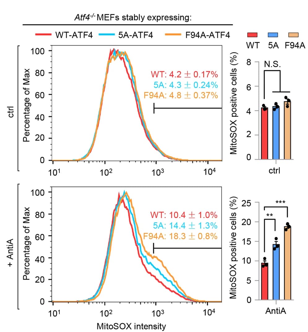 Open access visualization of Line Plot, Bar Plot, Error Bars, Flow cytometry, Mitochondrial superoxide