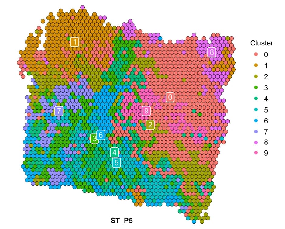 Open access visualization of Geo Map, Spatial Distribution, Spatial Transcriptomics Spots, Clustering