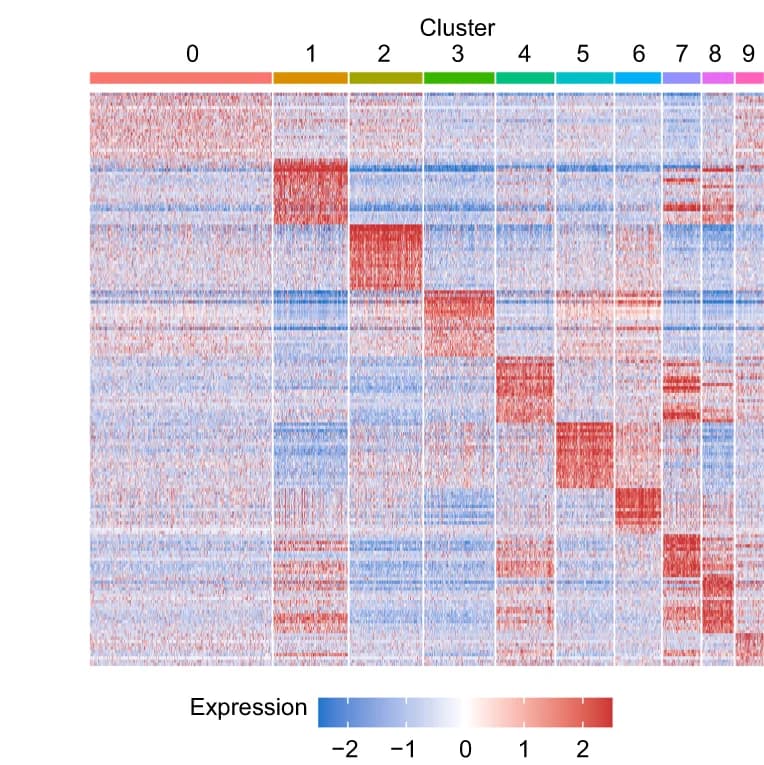 Open access visualization of Heatmap, Clustered, Differentially Expressed Genes, Clusters