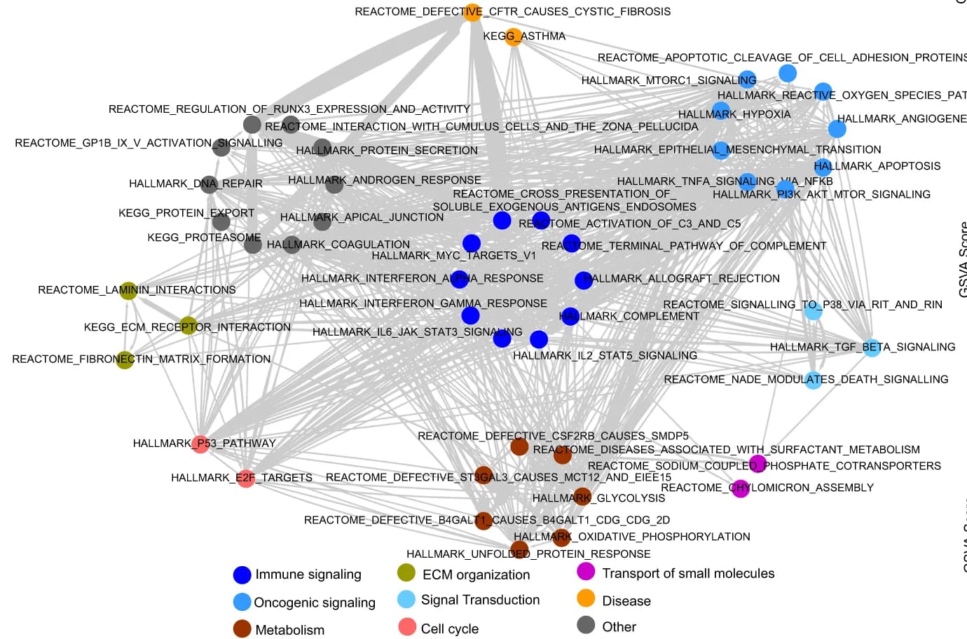 Open access visualization of Pathway, Network, Signaling Pathways, Jaccard Similarity, Subtype-Associated Pathways