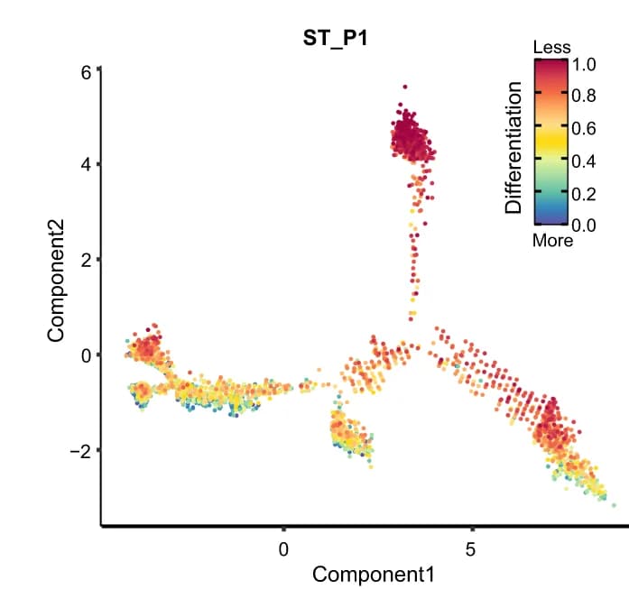 Open access visualization of Scatter Plot, UMAP, Trajectory, Monocle2, CytoTRACE