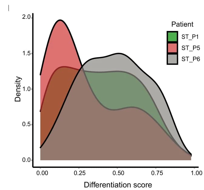 Open access visualization of Density Plot, Line Plot, Kernel Density Estimation, Differentiation Scores, MP Subtype