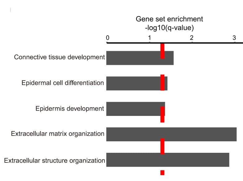 Open access visualization of Bar Plot, Error Bars, Enriched Gene Sets, Differentiated Genes