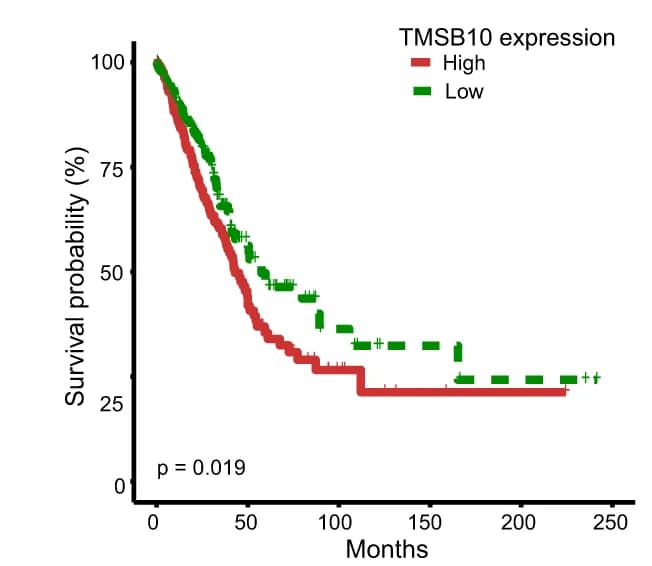 Open access visualization of Survival Curve, Overall Survival, TMSB10 Expression, KaplanMeier, TCGA Cohort