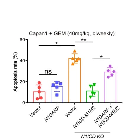 Open access visualization of Bar Plot, Error Bars, Scatter Plot, Apoptosis Rate, Flow Cytometry