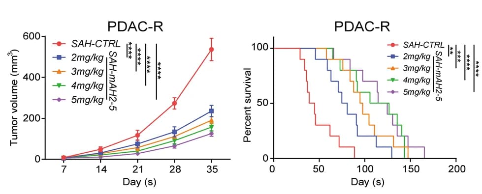 Open access visualization of Line Plot, Error Bars, Survival Curve, Orthotopic Tumor Volume, Survival Analysis
