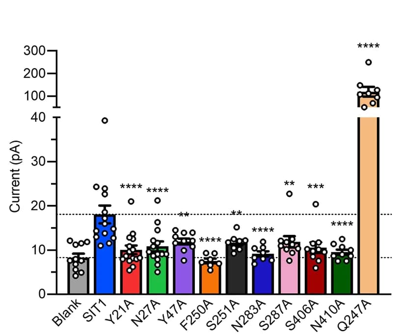 Open access visualization of Bar Plot, Error Bars, Scatter Plot, Pro, Currents