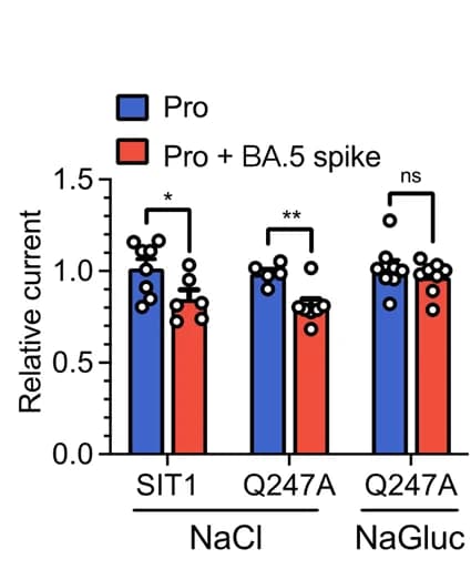 Open access visualization of Bar Plot, Error Bars, Clustered, Spike Protein, Pro