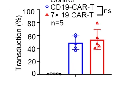 Open access visualization of Bar Plot, Scatter Plot, Error Bars, CAR Proteins, Human T Cells