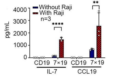 Open access visualization of Bar Plot, Error Bars, Clustered, IL-7, CCL19