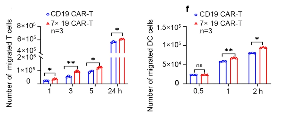Open access visualization of Bar Plot, Clustered, Error Bars, CFSE-Labeled, Human T Cells